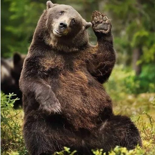 Steve Lewis Monday chilled house session 2nd September 2024