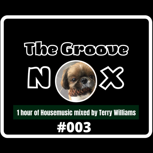 The Groove Nox #003