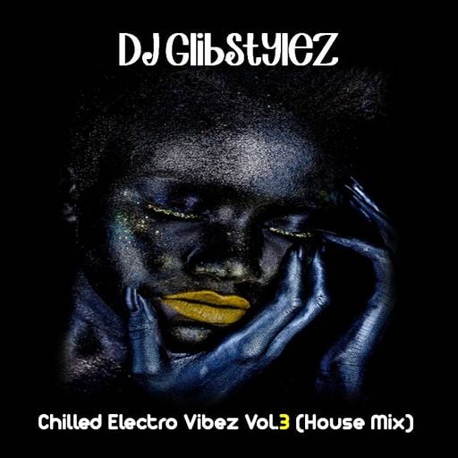 DJ GlibStylez - Chilled Electro Vibez Vol.3 (House Mix)
