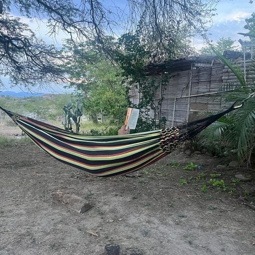 La Vida es un Mus - 19th February 2026