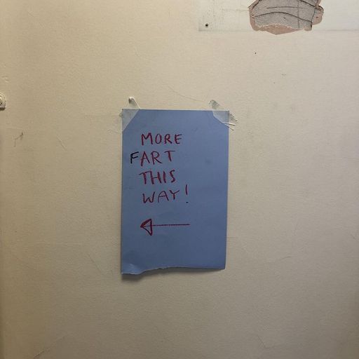 Tilly - 23rd June 2025