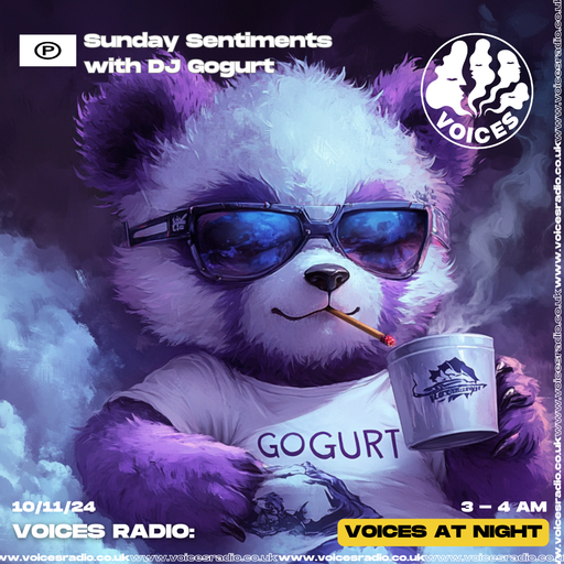 DJ Gogurt - 10/11/24 - Voices Radio
