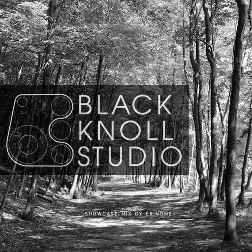 Erinome - Black Knoll Studio Showcase