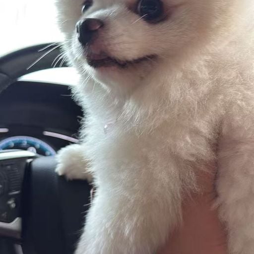 [DJ K.XXX] High On Life // Lose Control // 十年 // 年轻不懂爱 // 算了吧 For EuG & 糖糖 ‘26Remix