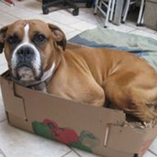 Bill`s Pop Up 020814