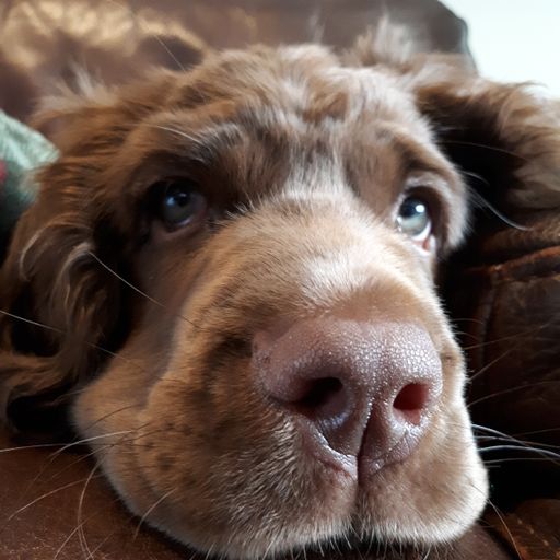 Pure Vibez hosted by LaineyJae 25th April 2022