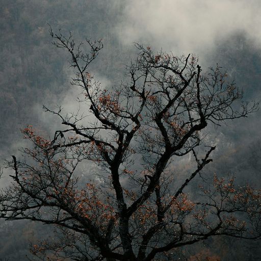 Emotional Landscapes - 3rd February 2025