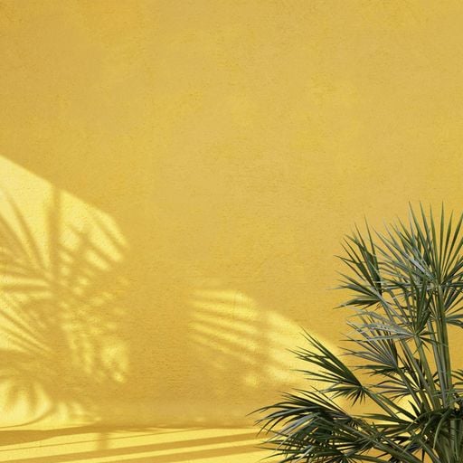 This is Odd - The Oddlist - 2nd September 2025