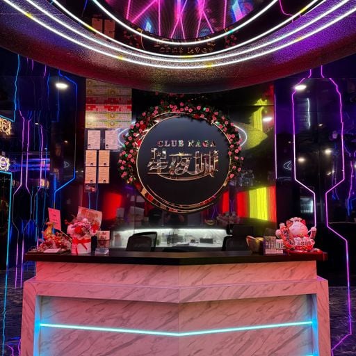 『星夜城 CLUB NAGA』 LIVE MIX 王杰 X 他的背影 X 忘了你忘了我 X 安守本份 X 痛彻心扉 X 求佛 X 四海 X 跳楼机 IG:DJ_BRYAN_VNS_1