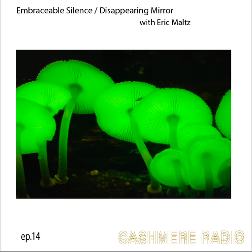 Embraceable Silence / Disappearing Mirror  14 w/ Eric Maltz 05.07.2022