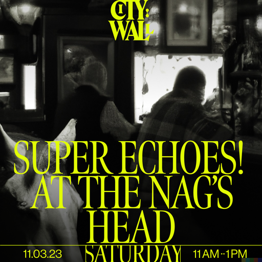 SUPER ECHOES! at The Nag's Head - 11/03/2023