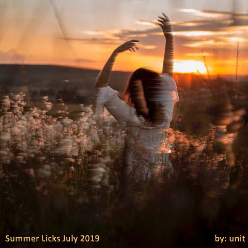 Summer Licks - July 2019