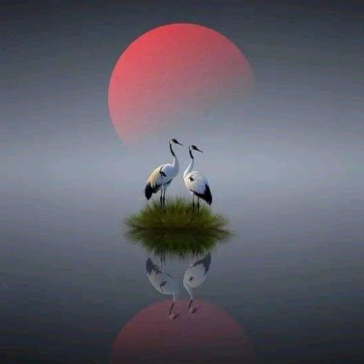 Steve Lewis house session wednesday 9th October 2024