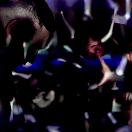 International Tribe: Insert // 14-01-19