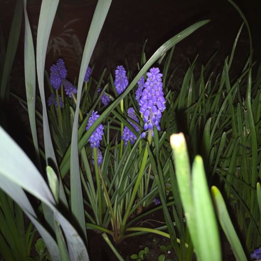 Be More Well - 25/03/23