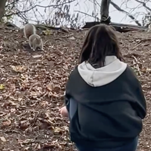 Emergence w/ Daniel Brown - 07/01/24 - Voices Radio