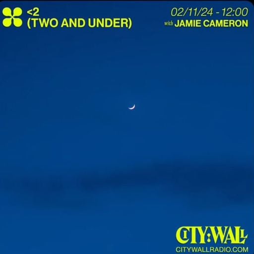<2 (Two And Under) w/ Jamie Cameron - November 2024