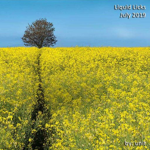 Liquid Licks July 2019