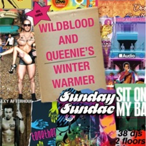 Wildblood & Queenie's Winter Warmer Vol.3 The Soulful one