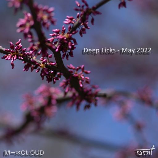 Deep Licks - May 2022