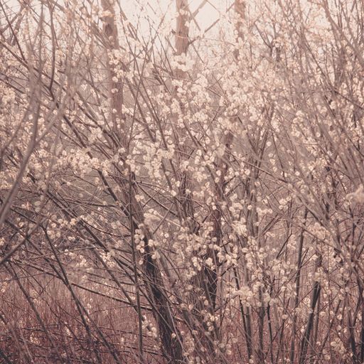 TRANSIENCE #39 with Lou Drago and Clara de Asís 30.08.2021