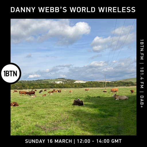 Danny Webb's World Wireless - 16.03.25