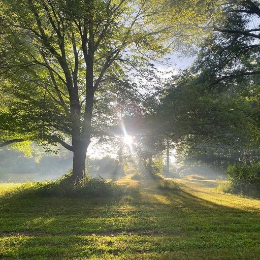 Major 7th, Love, and Happiness w/ treasure token - 31st December 2025