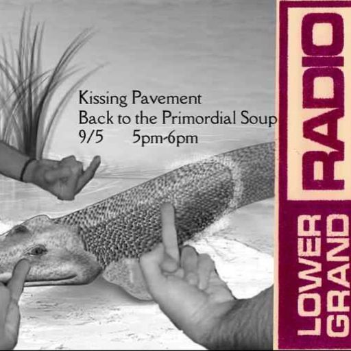 KISSING PAVEMENT: BACK TO THE PRIMORDIAL SOUP