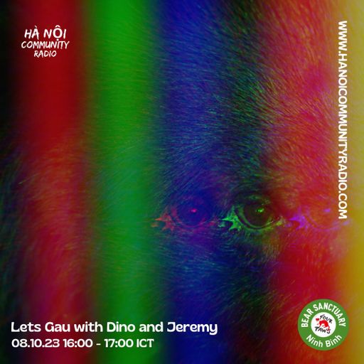 Let's Gấu w/ Dino & Jeremy 08.10.23