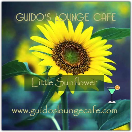 Guido's Lounge Cafe Broadcast 0260 Little Sunflower (20170224)