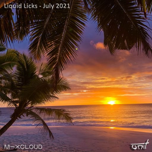 Liquid Licks July 2021