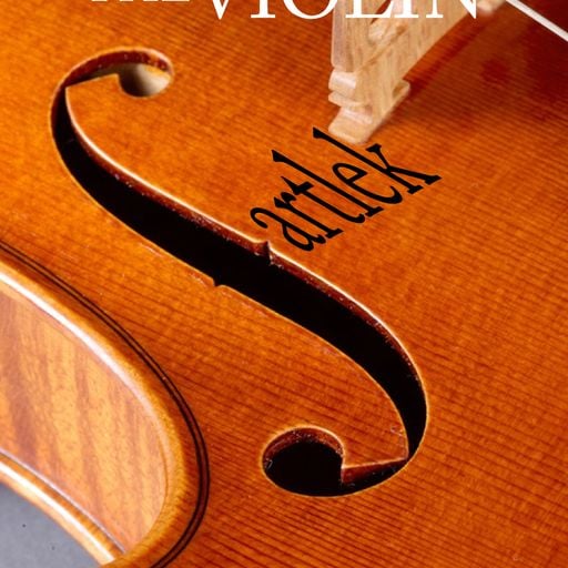 TheViolin_fartlek