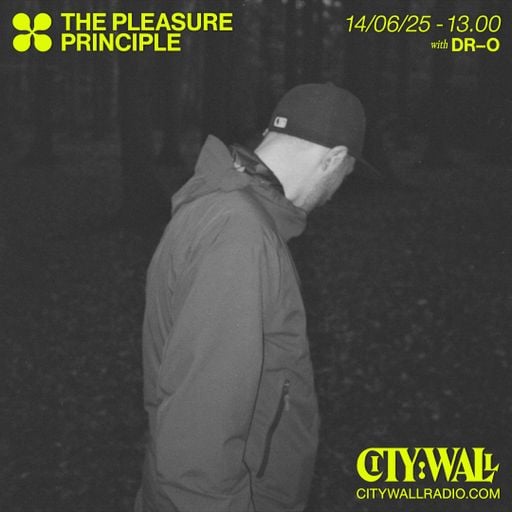 The Pleasure Principle w/ DR-O - June 2025