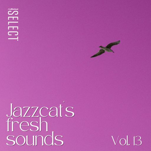 Jazzcat's fresh sounds vol. 13