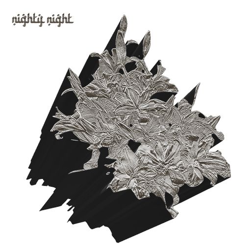 Nighty Night w/ Nayri 11.17.24