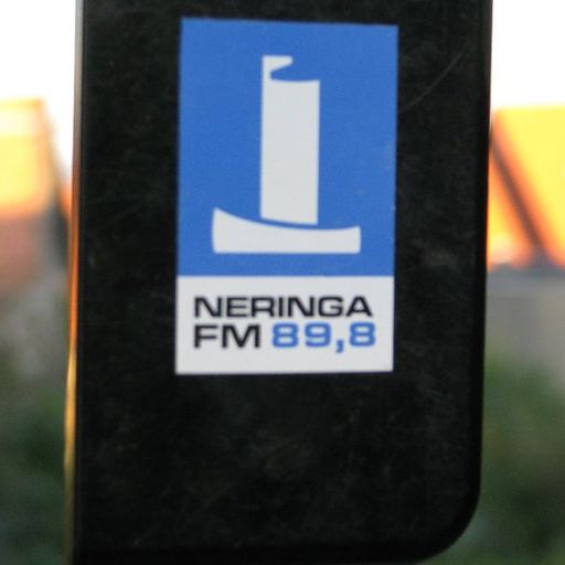 Neringos sekretas vol. 22 (2011-02-08)