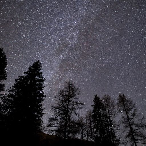 The Stars Appear Like Diamonds