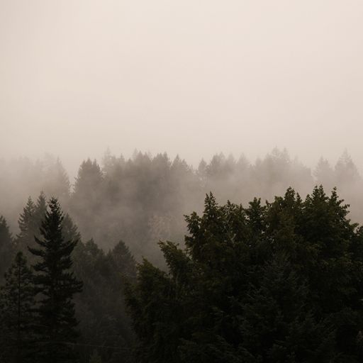 TRANSIENCE #47 with Lou Drago and Demetrio Cecchitelli 08.01.2023