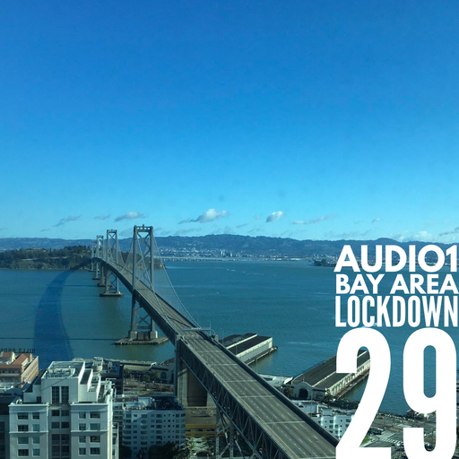 BAY AREA LOCKDOWN 29