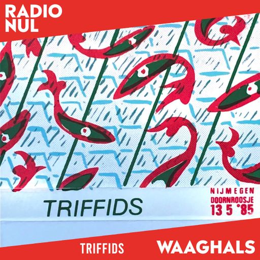 Triffids @ Doornroosje, Nijmegen - Waaghals / 13-05-1985