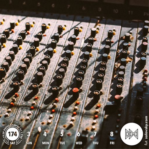 Digital Meditation # 174 [ BLU & NOTTZ / FLAMINGOSIS / DUIT / STEVE SPACEK ]