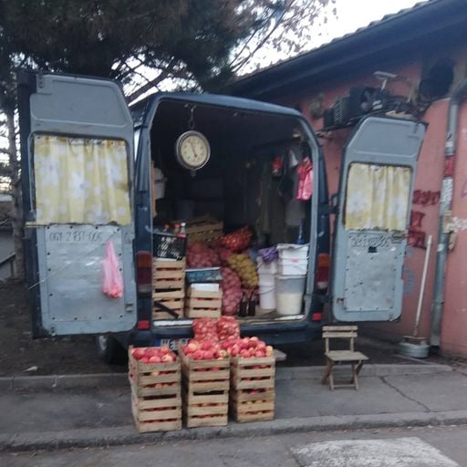 Muzika za februarsko proleće