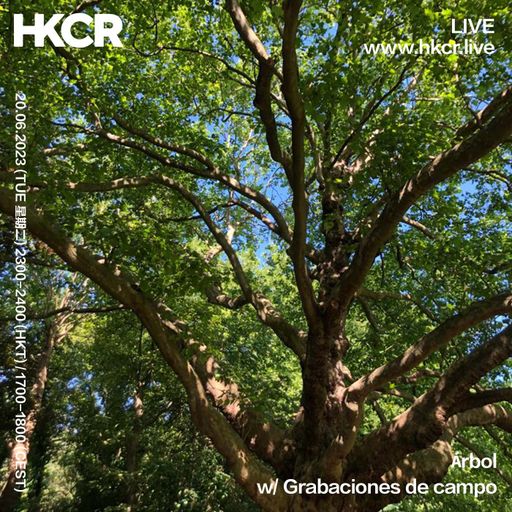 Árbol w/ Grabaciones de campo - 20/06/2023