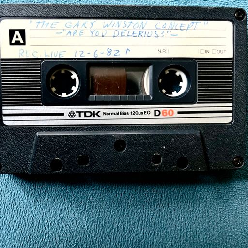 Dadavision Redux - The Gary Winston Concept, 12/6/82