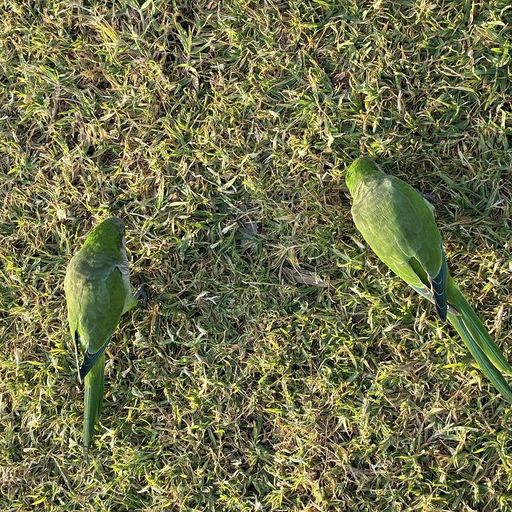 Creep Zone w/ James Pants & Marc Schaller - 13th March 2026