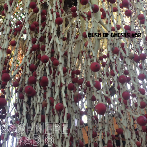 Bush of Ghosts #52 w/ David Tinning 04.02.2021