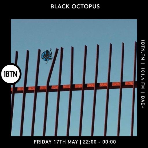 Black Octopus - 17.05.24