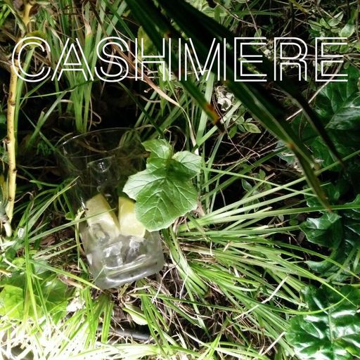 Ca$hmere #5 w/ Viola Funk & Carlos 04.03.2017
