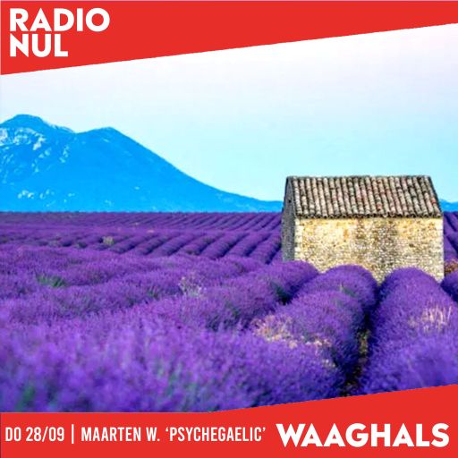 Maarten W. "Psychegaelic VI: Francophone Psych, Garage & Yé-Yé - Waaghals