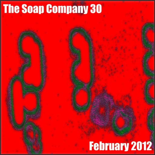 The Soap Company 2012.6 - The February Essential 30